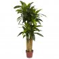 4' Corn Stalk Dracaena Silk Plant