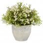 Mixed Mini Daisy Silk Plant