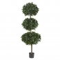 69" Sweet Bay Triple Ball Silk Tree
