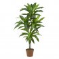 48" Dracaena Silk Plant