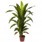 4' Dracaena Silk Plant