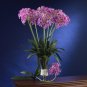 29" African Lily Stem