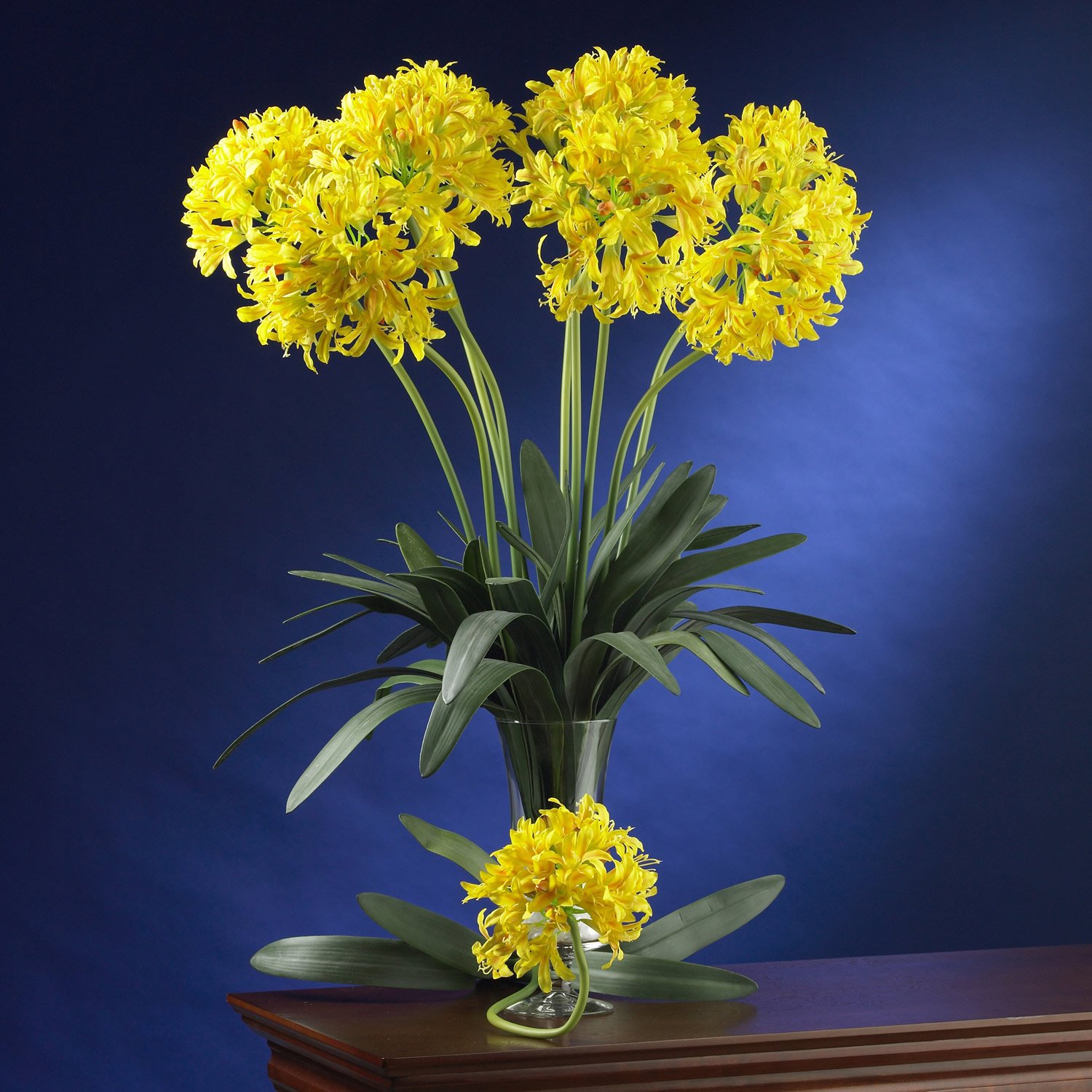 29" African Lily Stem