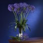 29" African Lily Stem
