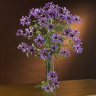 28.5" Cosmo Stem