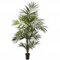 7' Kentia Palm Tree