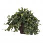 Puff Ivy w/Decorative Vase