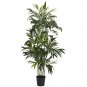 6' Bamboo Palm Silk Tree