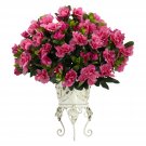 Azalea Silk Plant