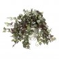 Wandering Jew