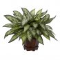 Triple Silver Queen Silk Plant