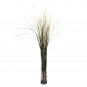Grass & Bamboo Silk Plant