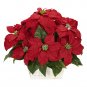 Poinsettia Silk Arrangement