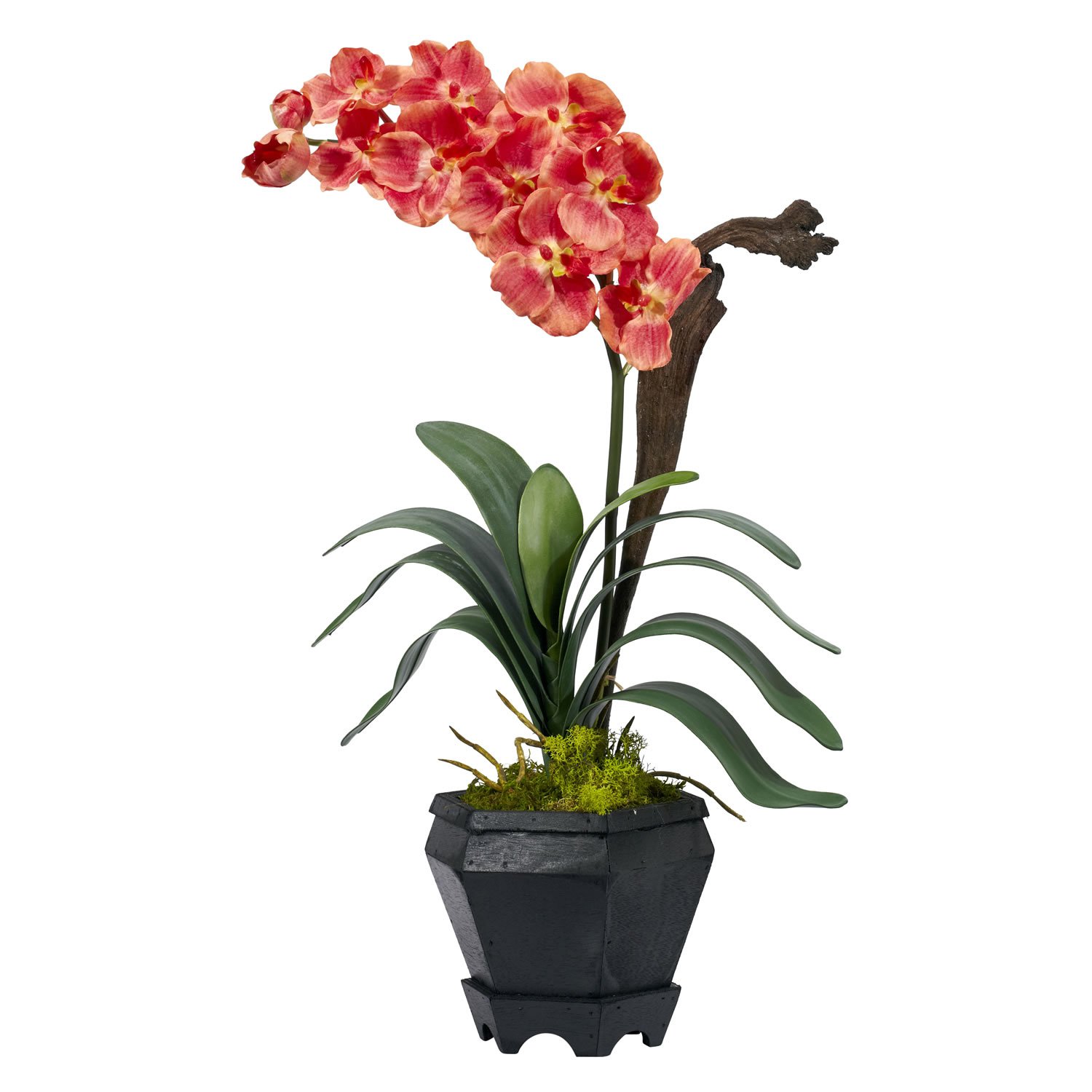 Vanda Silk Arrangement