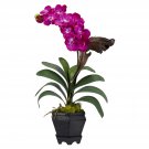 Vanda Silk Arrangement