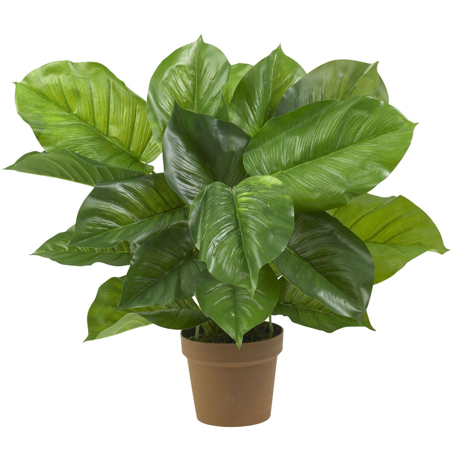 Large Leaf Philodendron Silk Plant