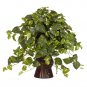Pothos Silk Plant