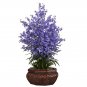 Large Dancing Lady Silk Arrangement