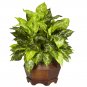 Variegated Dieffenbachia Silk Plant