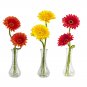 Gerber Daisy w/Bud Vase