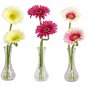 Gerber Daisy w/Bud Vase
