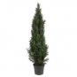 5' Mini Cedar Pine Silk Tree