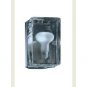 Zaneen Lighting BIRNE WALL SCONCE