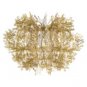 Zaneen Lighting - D12-3012 - Fiorella - One Light Wall Lamp