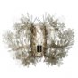 Zaneen Lighting - D12-3011 - Fiorella - One Light Wall Lamp