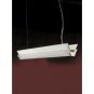 Zaneen Lighting DUPLEX PENDANT