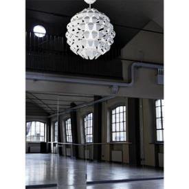 Zaneen Lighting Agave - Five Light Pendant