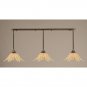 Toltec Lighting - 33-BC-102 - Three Light Pendant
