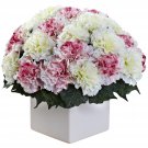 Mauve White Carnation Arrangement w/Vase