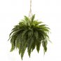 Double Giant Boston Fern Hanging Basket