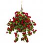 Geranium Hanging Basket UV Resistant (Indoor/Outdoor)