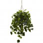 Philodendron Hanging Basket UV Resistant (Indoor/Outdoor)