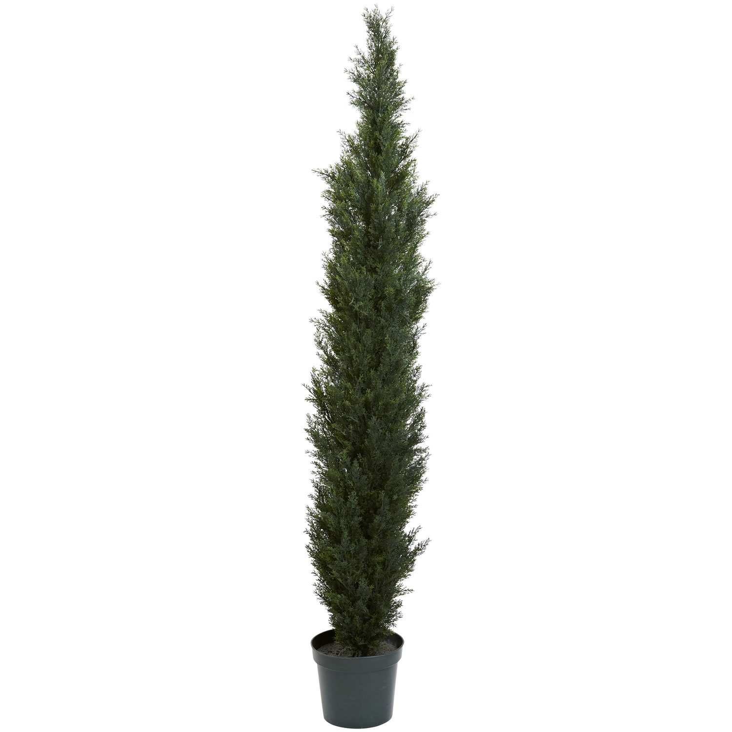7' Mini Cedar Pine Tree