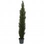 7' Mini Cedar Pine Tree