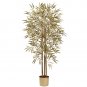 5' Golden Bamboo Tree