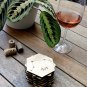 Astrological Map - Set of 12 Wood Coasters - Zodiac Signs