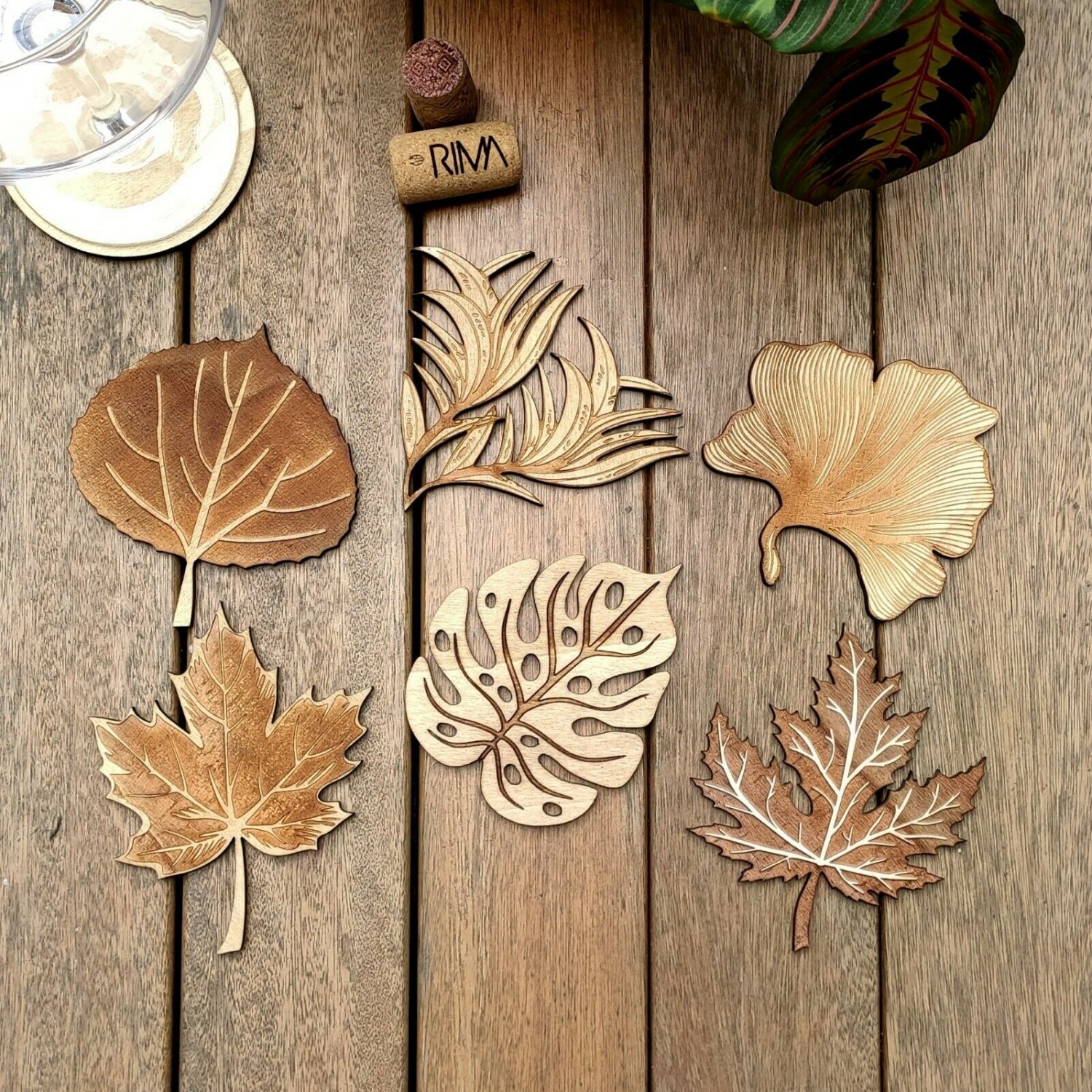 Set of 6 Plants Wood Coasters - Leaf Coaster - Nature Cup Holder