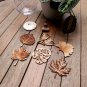 Set of 6 Plants Wood Coasters - Leaf Coaster - Nature Cup Holder