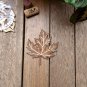 Set of 6 Plants Wood Coasters - Leaf Coaster - Nature Cup Holder