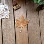 Set of 6 Plants Wood Coasters - Leaf Coaster - Nature Cup Holder