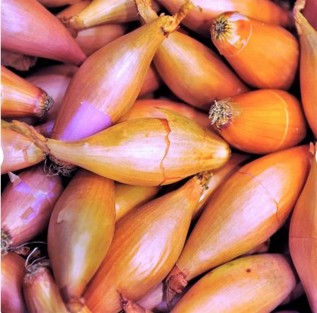 50 Count Pink Shallot Sets (Bulbs) SemiLong Red Echalote Ulle Mooseer Green Onion Scallion Vegetable