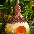60 count Bird House Bottle Garden Calabash Pumpkin Chinese Buddha Squash Asian Vegetable Seed