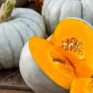 40 Count Vegetable Seeds Jarrahdale Blue Pumpkin Seeds Cinderella Fairytale Winter