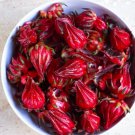 100 Count Vegetable Seeds Red Hibiscus Roselle Seeds sabdariffa Burmese Chin Baung Jamaican Sour