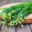 200 Count Vegetable Seeds Chinese Garlic Chives Seeds Perennial Herbs Flower Green Onion Scallion