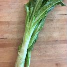 600 Count Vegetable Seeds Celtuce Seeds (Chinese Stem Lettuce